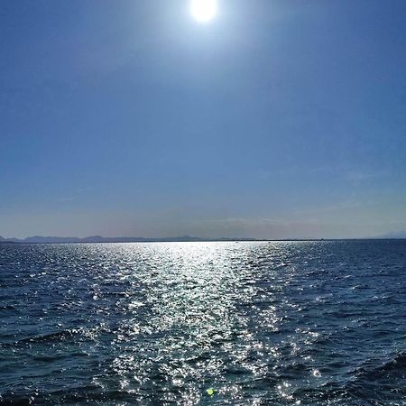 Apartamento Cerca De La Playa La Mata La Mata  Cameră foto